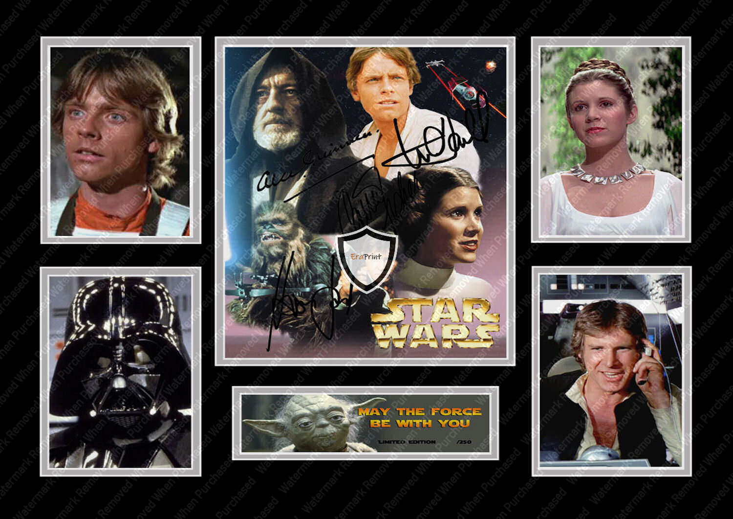 Star Wars A New Hope (1977) Signed Movie Print Memorabilia