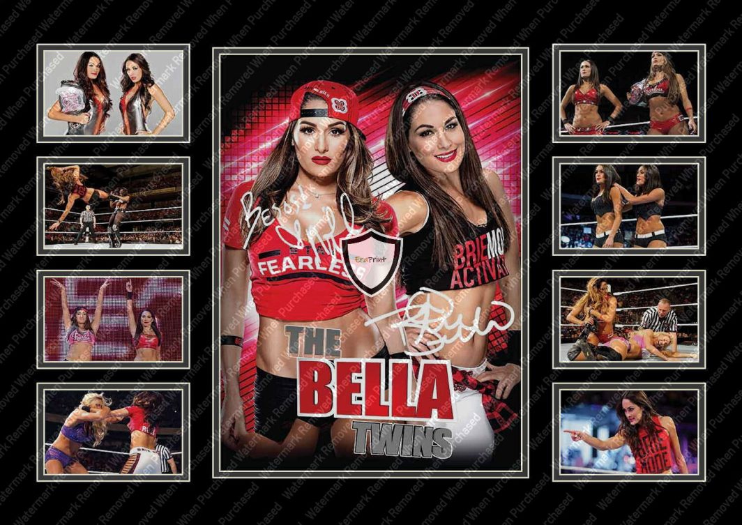 The Bella Twins Nikki And Brie Signed Wrestling Photo Print Download