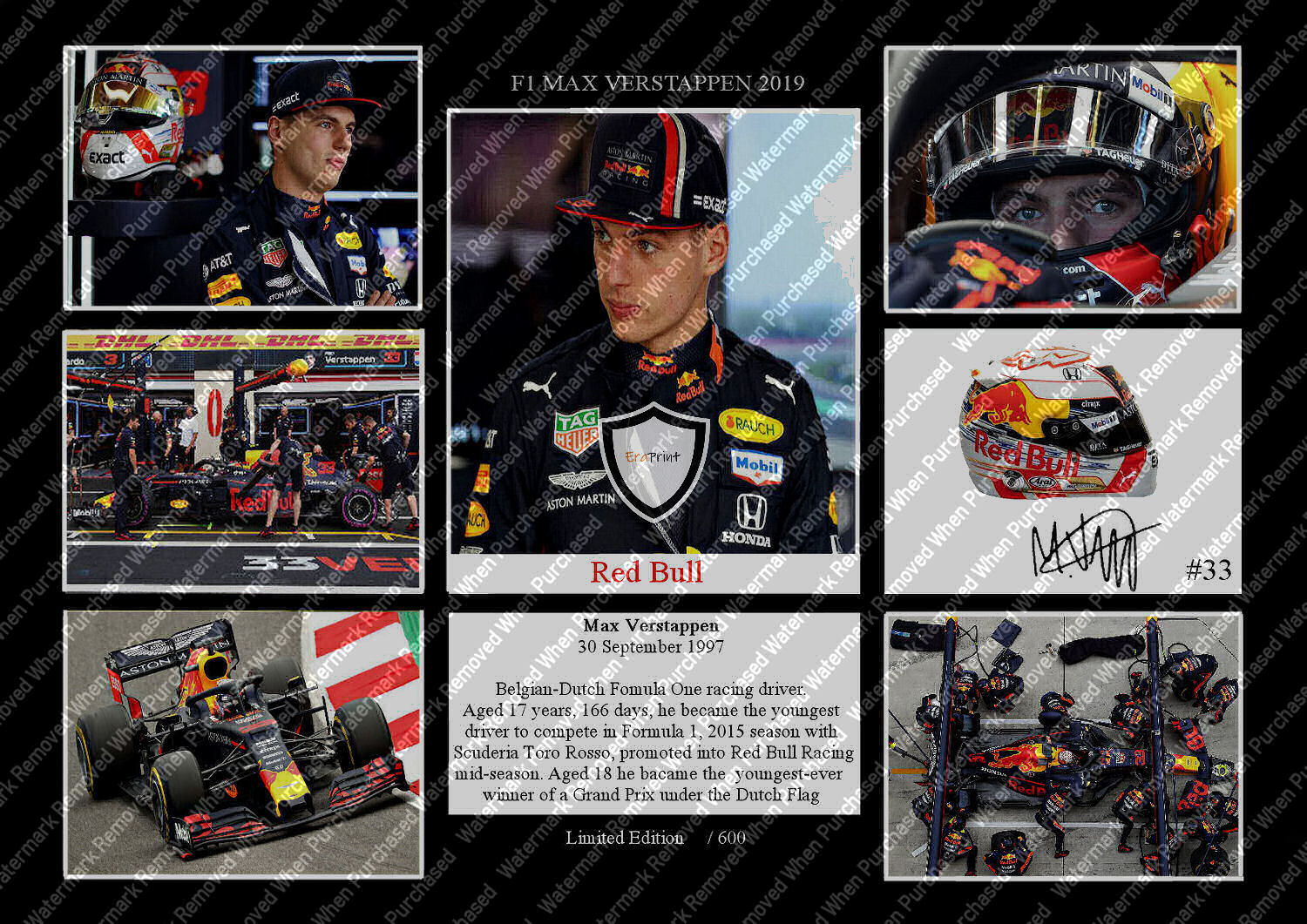 Max Verstappen (2019) Signed A4 Photo Print Red Bull Memorabilia