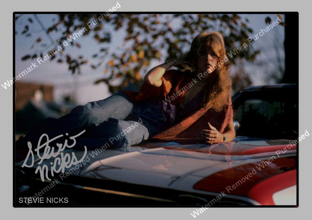 Stevie Nicks Singer Songwriter A4 Photo Print Downloadable For Home Printing