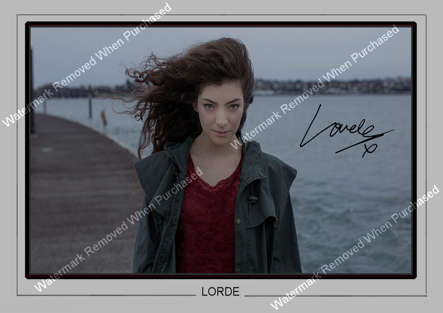 Lorde Signed Music A4 Photo Print Memorabilia JPG Downloads Available