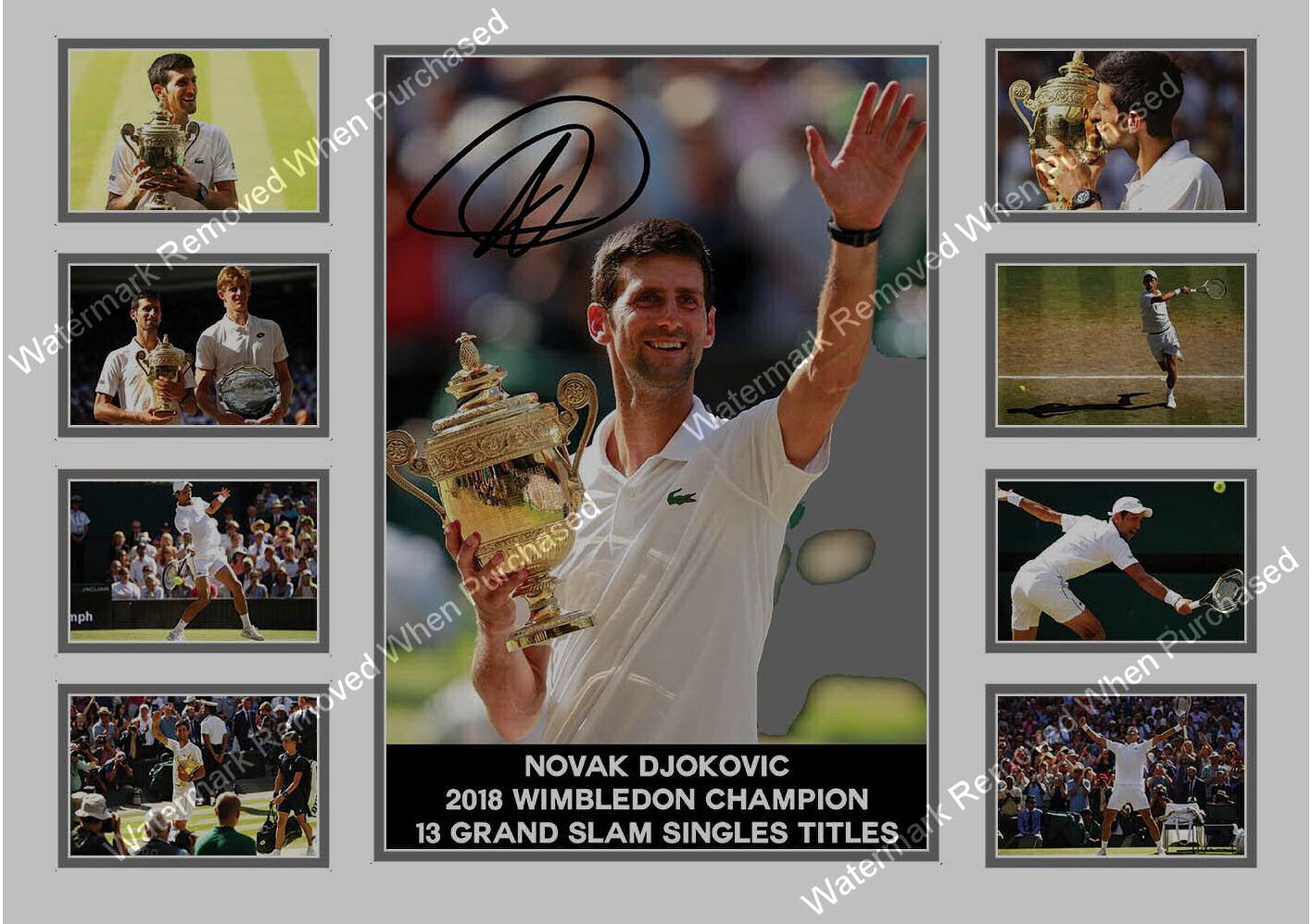 Novak Djokovic (2018) Wimbledon Champion Signed Tennis Memorabilia A4 Photo Print