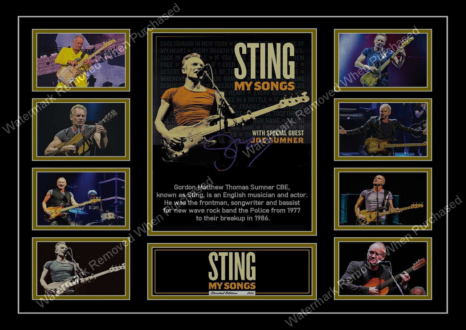 Sring (2023) My Songs Tour Signed A4 Photographic Photo Downloadable