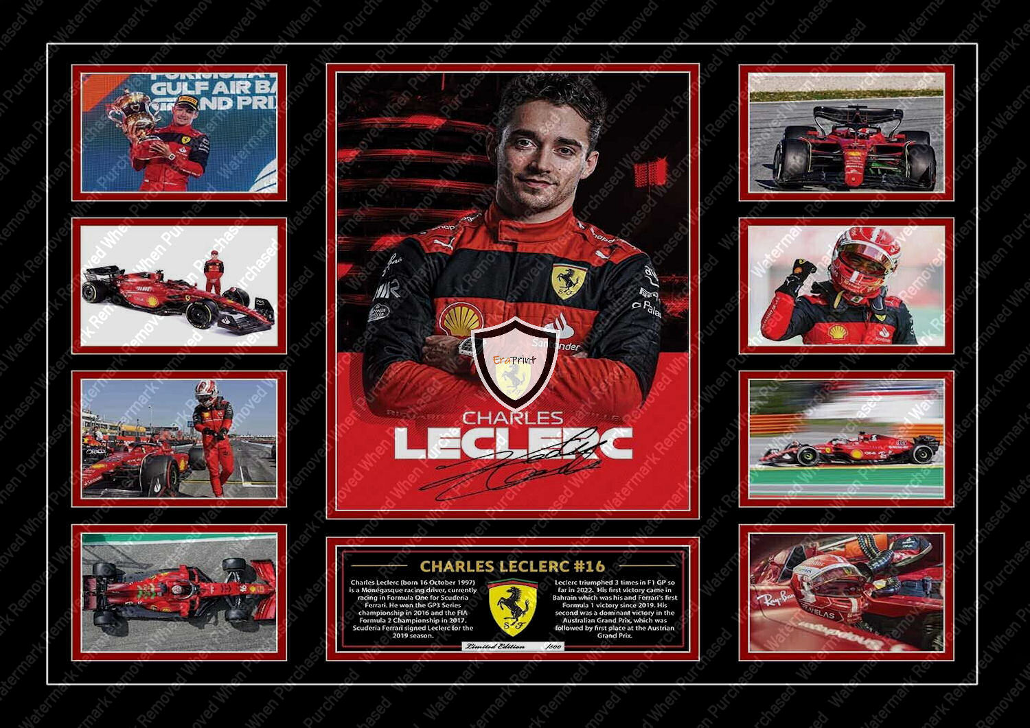 Charles Leclerc (2022) Ferrari F1 A4 Photo Print Instant Download Available