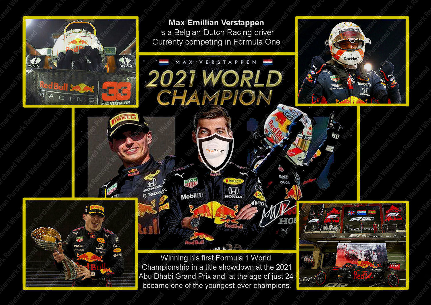 Max Verstappen Signed F1 Red Bull A4 Photo Print Download Available