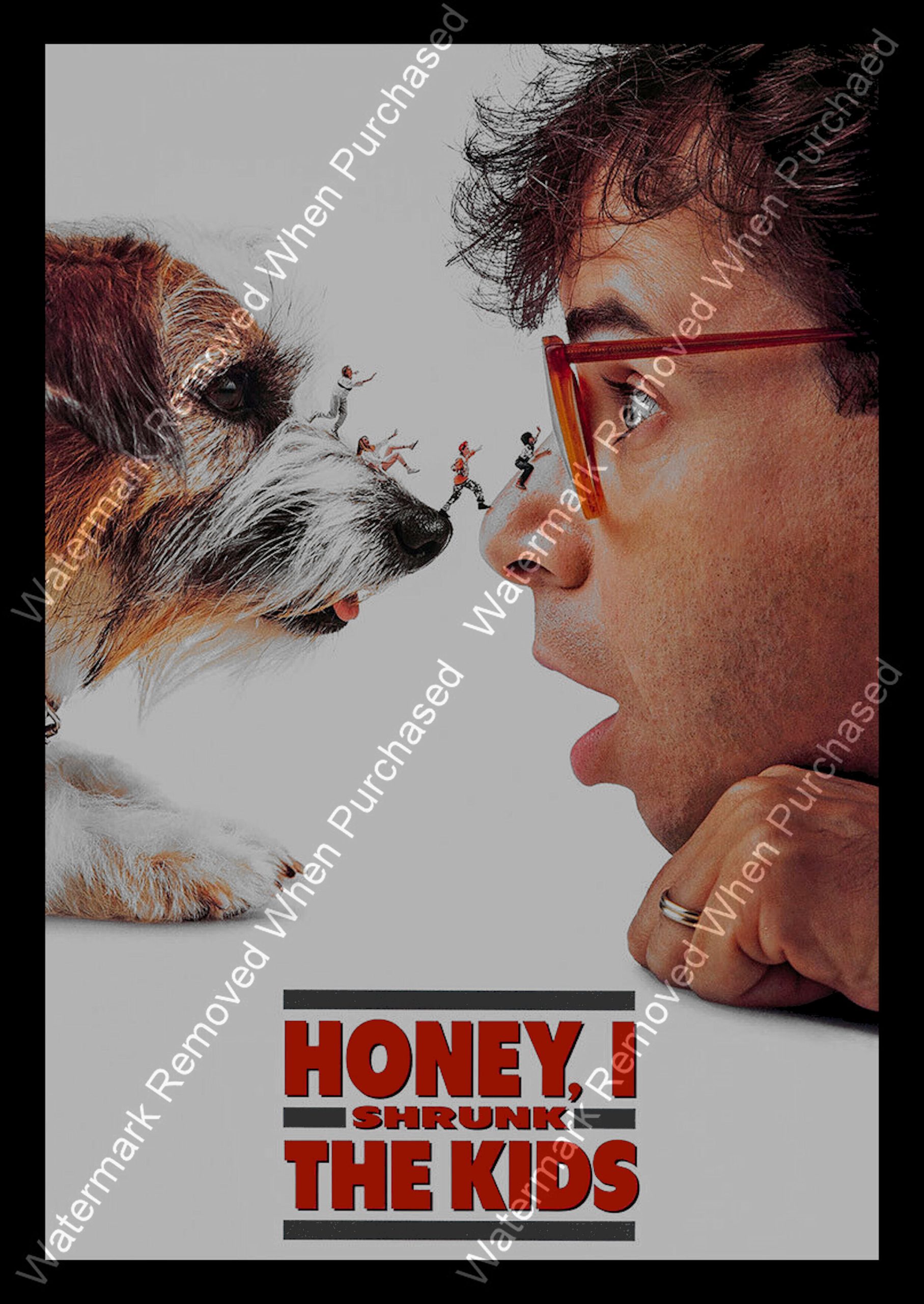 Honey, I Shrunk the Kids (1989) Movie Poster Framed A4 / A3 Photographic Photo Downloadable