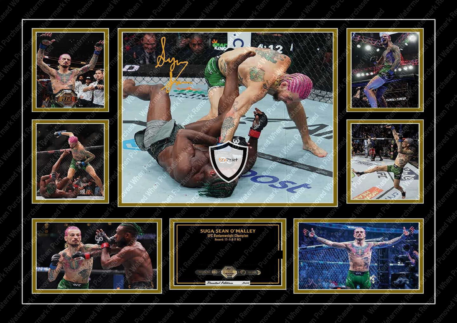 Sean O'Malley Autographed UFC Memorabilia Photo A4 Print Jpg